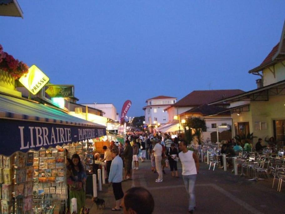 La Cabane Maddyblue 5 Min A Pieds De L'Ocean Et Commerce Mimizan Exterior photo